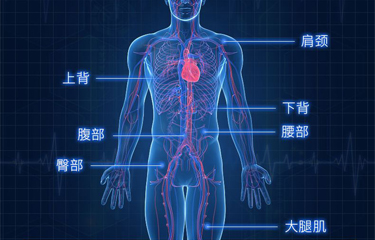 电疗仪的效果如何，具体作用表现在哪里?